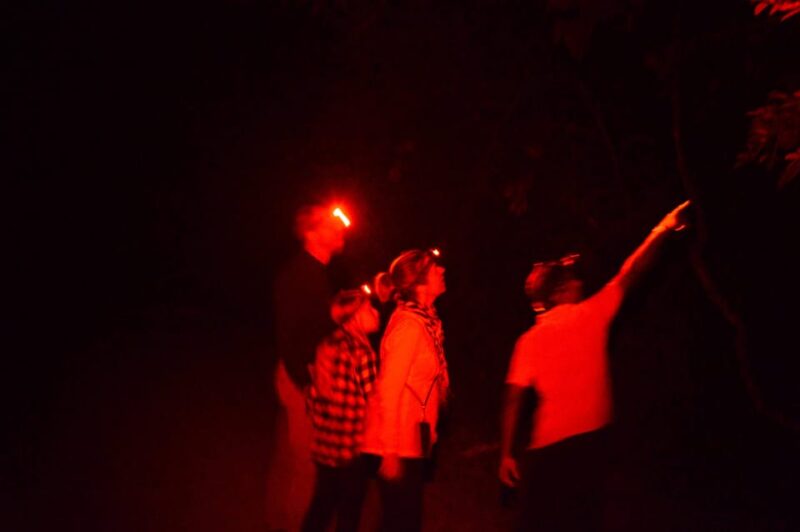Night Hike to See Elusive & Rare Loris in Sigiriya - Experience Highlights