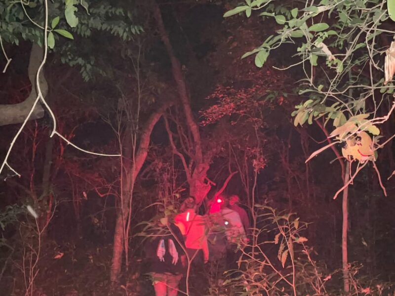 Night Hike to See Elusive & Rare Loris in Sigiriya - Itinerary and Activities