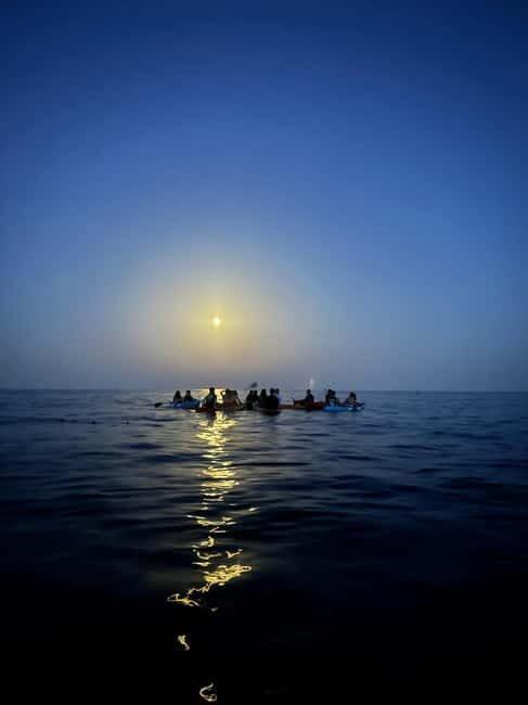 Night Kayak or Paddle Surfing Excursion - Why this Experience Matters: A Deep Dive
