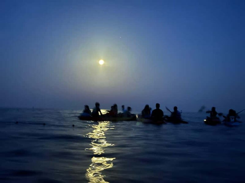 Night Kayak or Paddle Surfing Excursion - Detailed Itinerary Breakdown