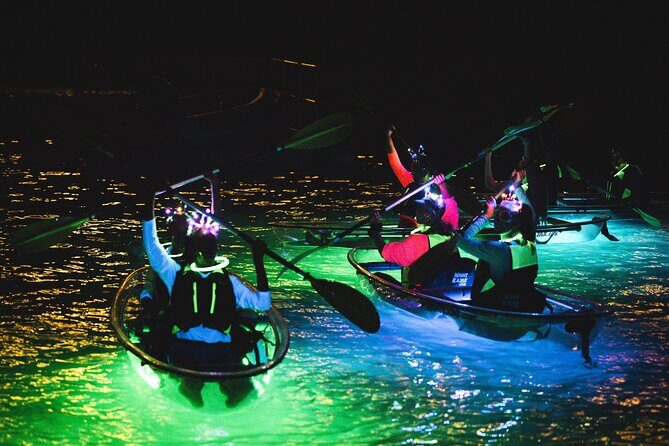 Night Kayak Tour St. Thomas - Westin Frenchman's Reef - A Detailed Look at the Night Kayak Tour