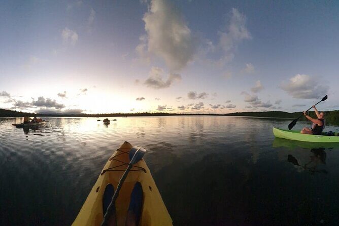 Night Kayaking Experience on Bioluminescent Lagoon in Fajardo - Authentic Experiences From Real Travelers