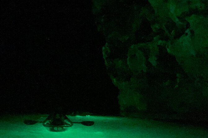 Night Kayaking with Liquid Glow - Who Should Consider This Tour?