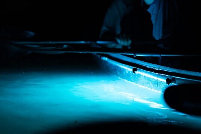 Night Mangrove Kayak Tour - Key Points