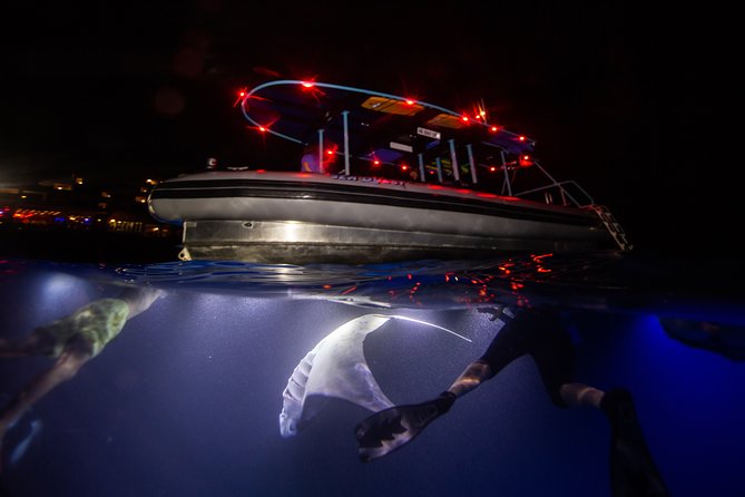 Night Manta Ray Experience - Meeting and End Point Details
