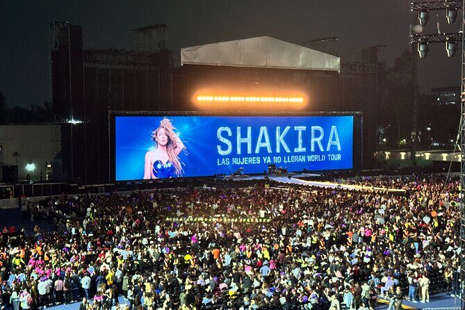 Night of VIP Concert in Mexico City with Private Transfer - Value and Price Analysis