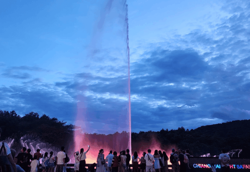 Night Safari Ticket (Pick up Service) - Key Points