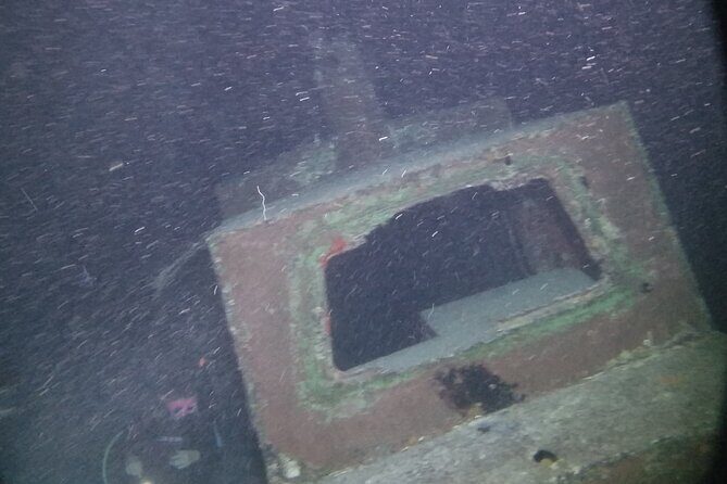 Night Shore Diving Mangel Halto Aruba for Certified Divers - What to Expect from Your Night Shore Dive in Aruba