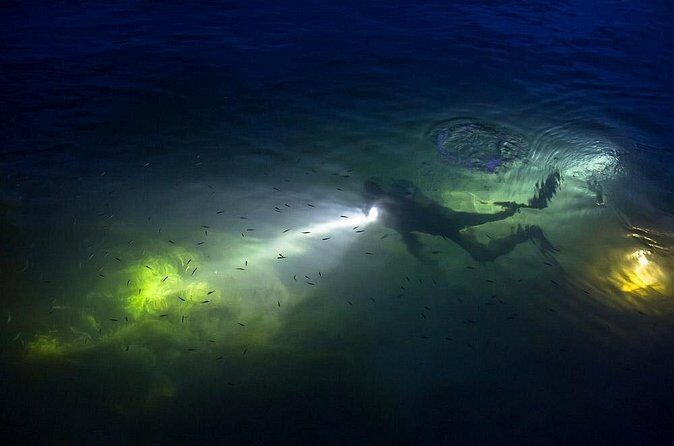 Night Shore Diving Mangel Halto Aruba for Certified Divers - Final Thoughts: Is This Tour for You?