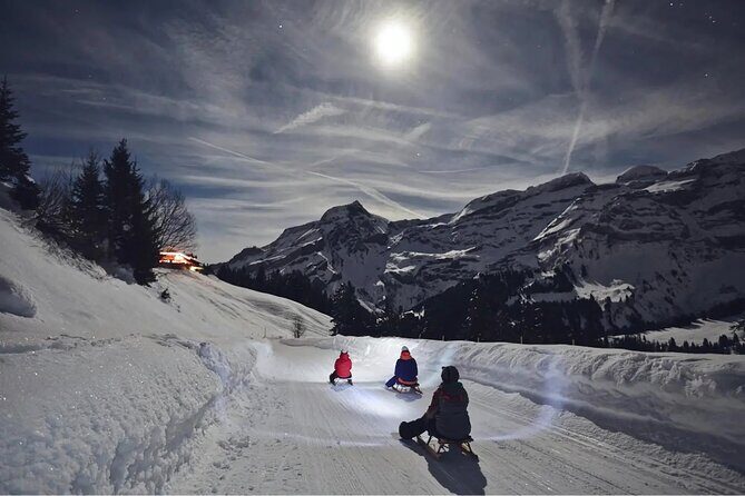 Night Sledding and Fondue Feast Interlaken - Why Travelers Love It