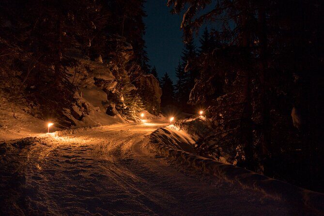 Night Sledding from Interlaken - What’s Included and What to Bring