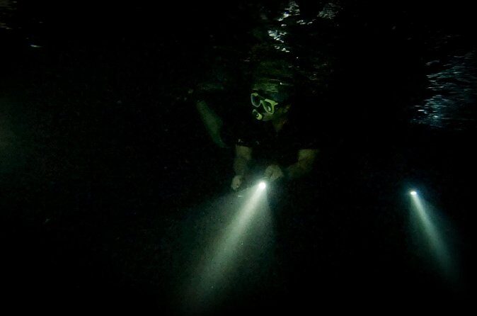 Night Snorkeling Adventure - The Practical Side: Booking and Conditions