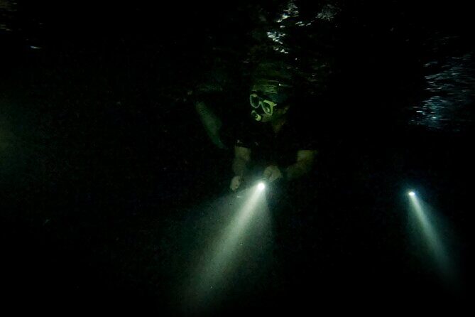 Night Snorkeling Adventure - FAQs
