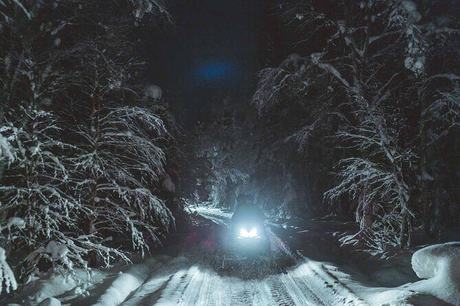 Night Snowmobile Safari, Rovaniemi - Who Is This Tour Best For?