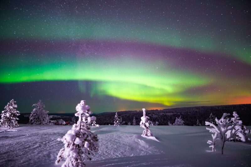 Night Snowshoeing Adventure Under the Northern Lights - Safety Guidelines