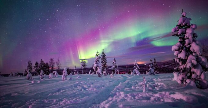 Night Snowshoeing Adventure Under the Northern Lights - Customer Ratings and Reviews