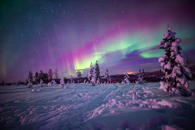 Night Snowshoeing Adventure Under the Northern Lights - Preparing for Your Trip