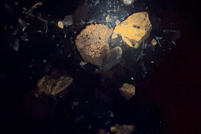 Night time fluorescent Rockhounding Tour - Who Should Consider This Tour?