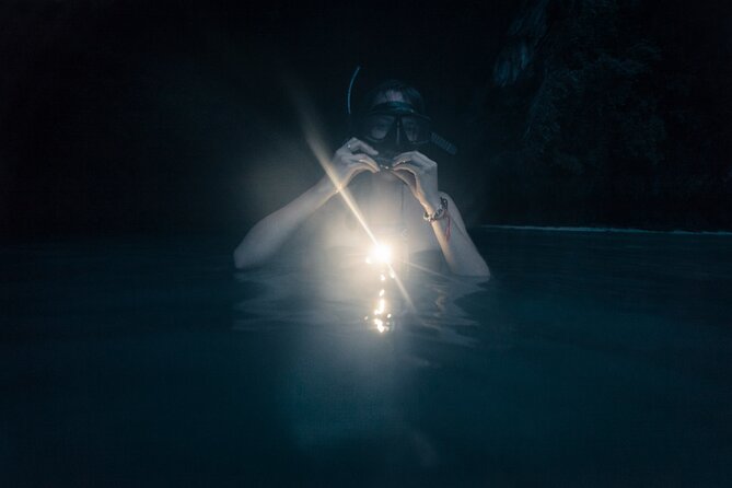 Night-Time Snorkel at Turtletown With Stars, Lights, and Photos - Meeting Point and Timing