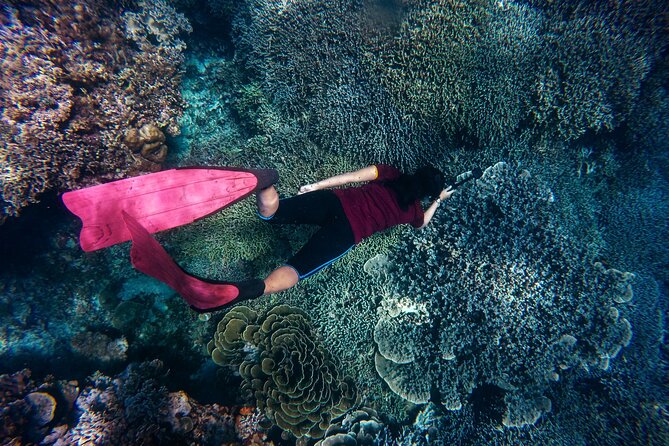 Night-Time Snorkel at Turtletown With Stars, Lights, and Photos - Customer Experiences