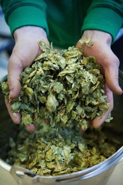Night time tour of Harstad Craft Brewery - Key Points