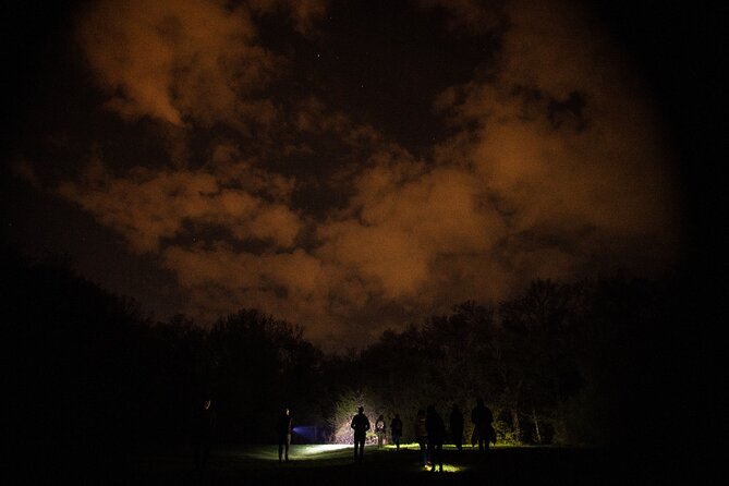 Night Tour in Hoia Baciu Forest - Paranormal Activity and Folklore