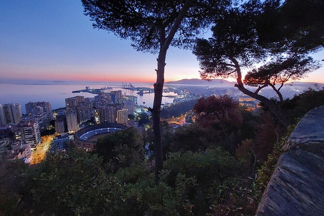 Night Tour in Malaga by Electric Car.Enjoy the Sunset - Inclusions