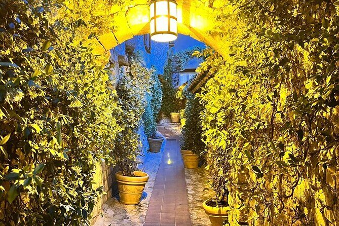 Night Tour of Eze & St Paul de Vence - Frequently Asked Questions