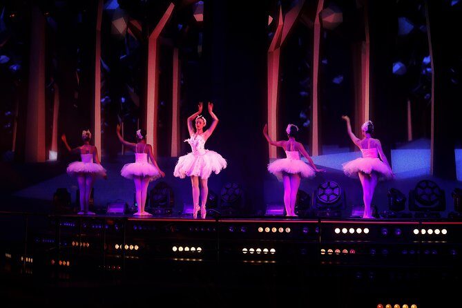 Night tour to Coco Bongo Punta Cana from Santo Domingo with Open Bar - The Authentic Experience