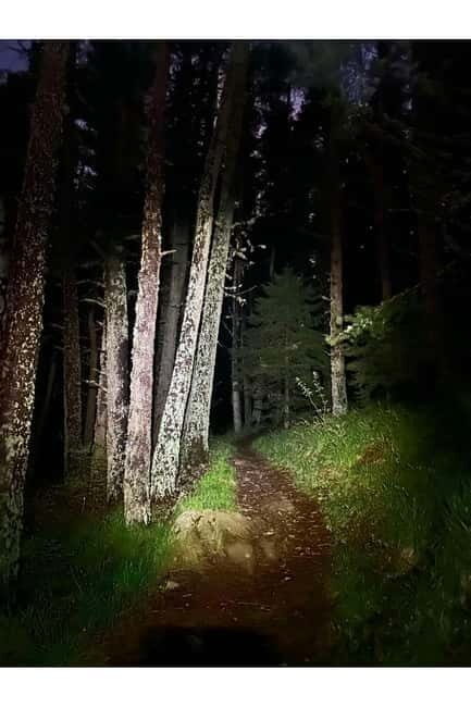 Night view of Sofia, mountain hiking tour to Kamen del Peak. - The Experience: A Closer Look