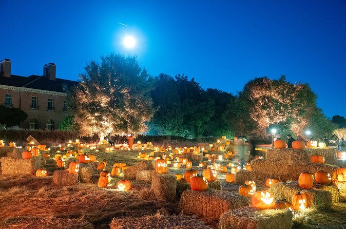 Nightfall - Why It’s a Good Deal