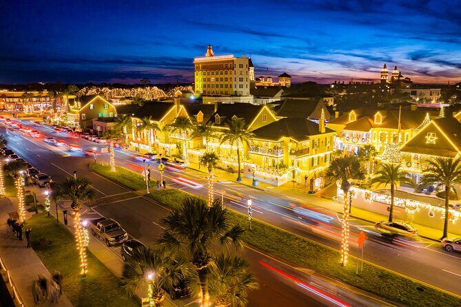 Nights of Lights Holiday Cruise Experience - Who Should Consider This Experience?