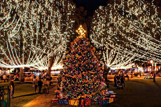 Nights of Lights Holiday Cruise Experience - The Sum Up