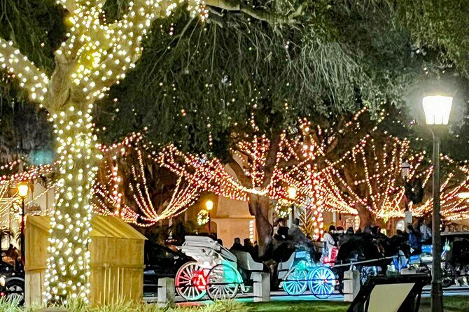 Nights of Lights Private Electric Golfcart Tour up to 7 People - Practical Tips