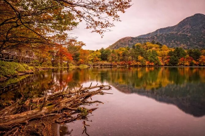 Nikko City Private Day Tour With English Speaking Driver - Tour Logistics