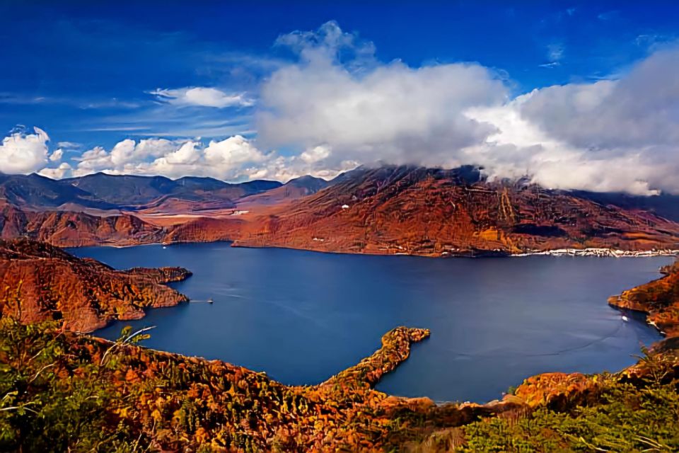 Nikko Full-Day Private Sightseeing Day Trip - Pickup and Dropoff Details