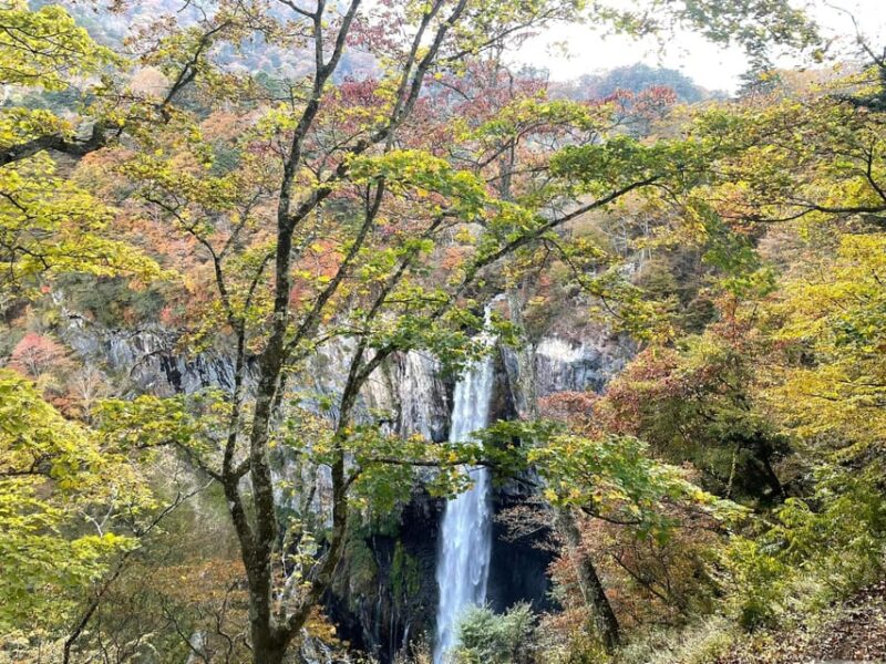 Nikko Full Day Private Tour With English Speaking Guide - Transportation Details