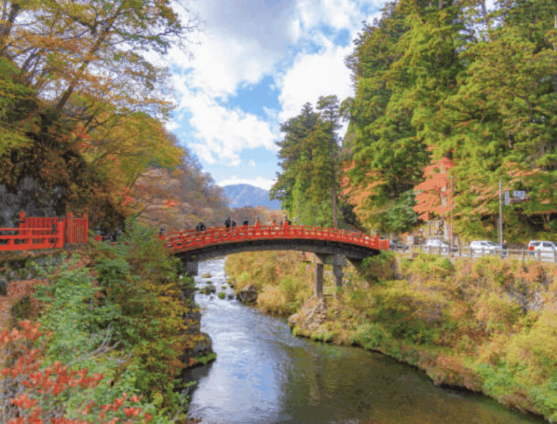 Nikko Private Custom Tour With Local Guide - Why Choose a Local Guide