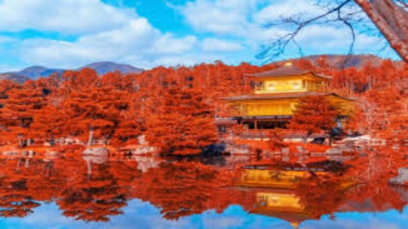 Nikko Private Tour With English Speaking Driver - Visitor Experience