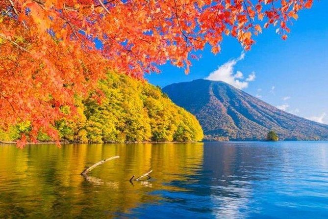 Nikko Tour From Tokyo With Guide and Vehicle - Licensed Local Guide