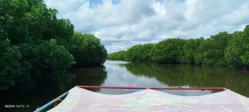 Nilaveli: Lagoon Boat Safari with Mangrove Exploration - An In-Depth Look at the Lagoon Boat Safari Experience