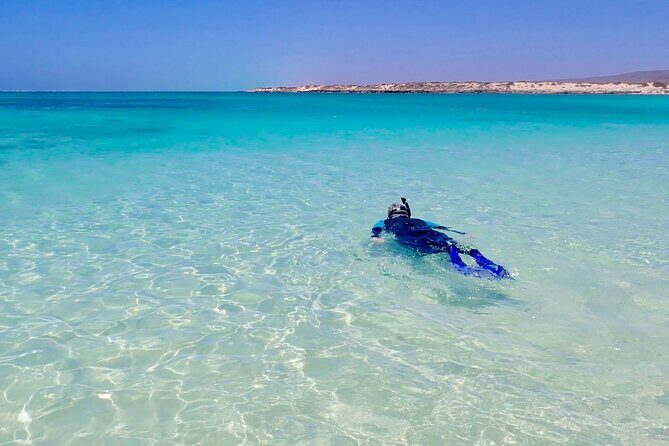 Ningaloo In A Full day Hike and Snorkel Tour - An In-Depth Look at the Tour Itinerary