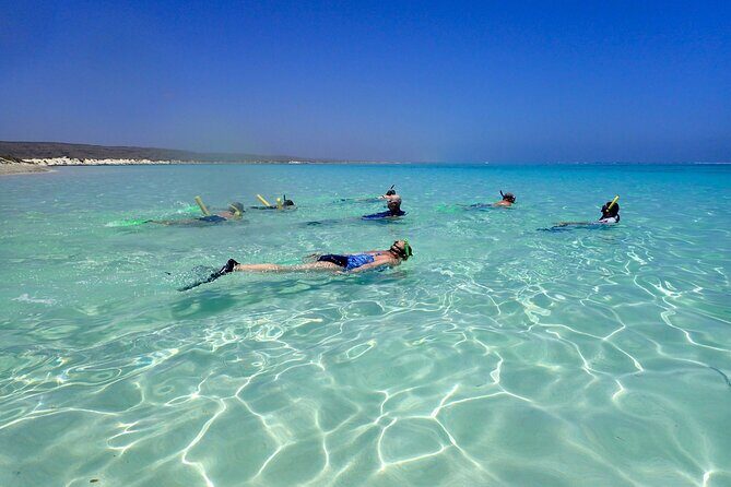 Ningaloo Reef Snorkel Adventure - What Makes This Tour Special?
