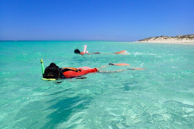 Ningaloo Reef Snorkel Adventure - Final Thoughts: Who Will Love This Tour?