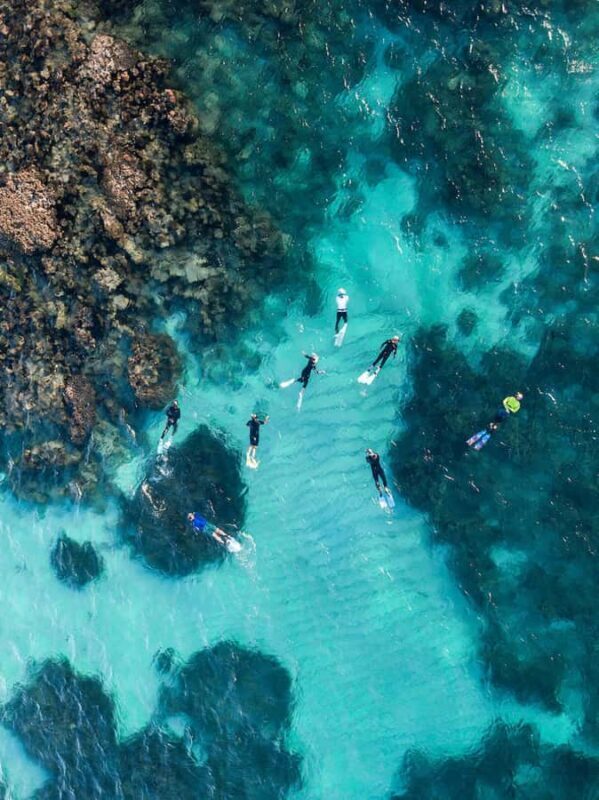Ningaloo: Snorkelling & Coral Viewing Semi Submersible Tour - Practical Details and Considerations