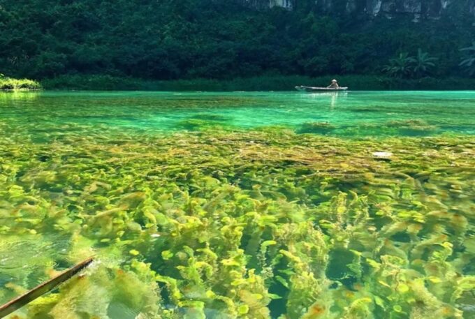Ninh Binh 1-Day Tour Bai Dinh Trang an Mua Cave Small Group - Inclusions and Exclusions