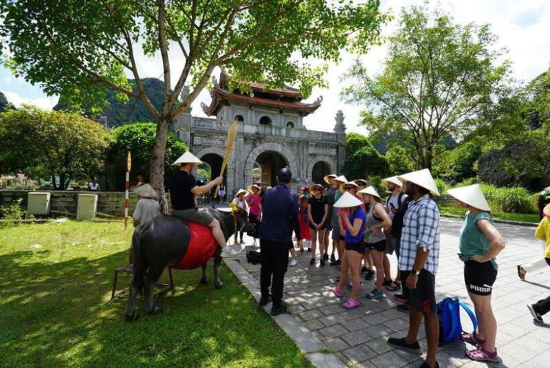 Ninh Binh 1 Day With Tam Coc, Hoa Lu, and Mua Cave, Buffet - Key Points