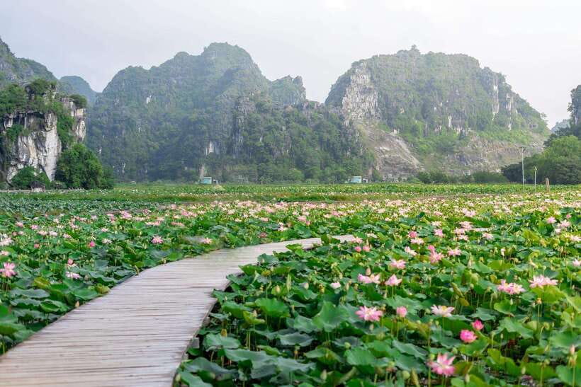 Ninh Binh : Bai Dinh Pagoda, Trang An, and Mua Cave Tour - Essential Tips for Travelers
