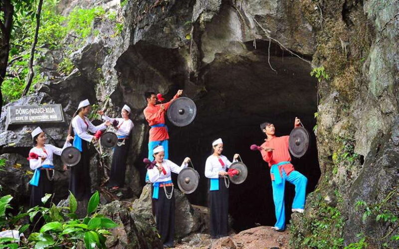 Ninh Binh: Cuc Phuong National Park Day Trip With Lunch - Key Points