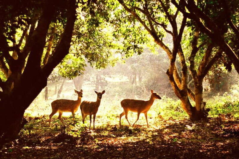 Ninh Binh: Cuc Phuong National Park - Key Points